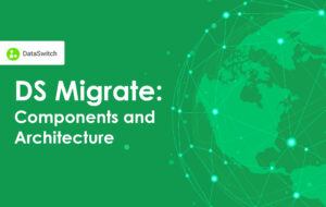 DS Migrate Components and Architecture
